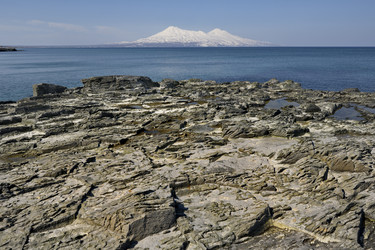 Similar image 21895309