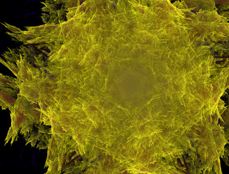 Similar image 21906497