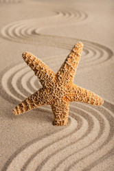 Similar image 21900285