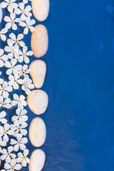 Similar image 21900289