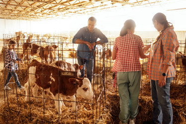 Similar image 21896957