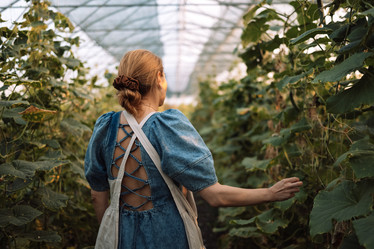 Similar image 21896958