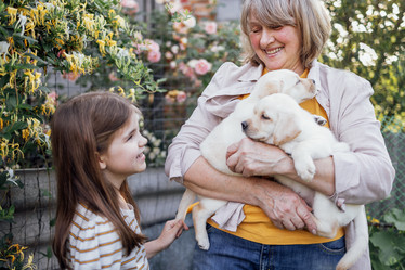 Similar image 21896991