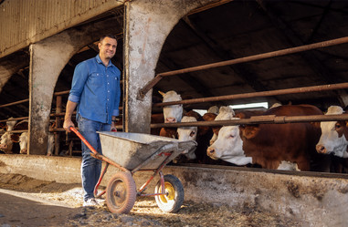 Similar image 21896999