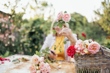 Similar image 21897004