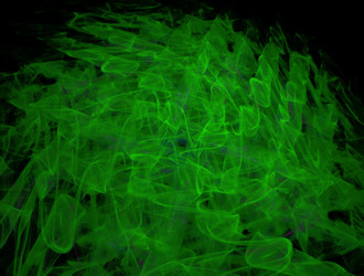 Similar image 21906506