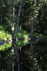 Similar image 21904834