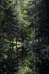 Similar image 21904835