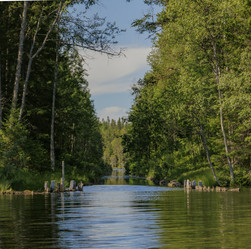 Similar image 21904836