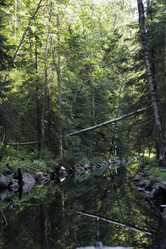 Similar image 21904837