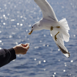 Similar image 21898832