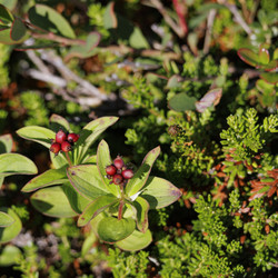 Similar image 21904840