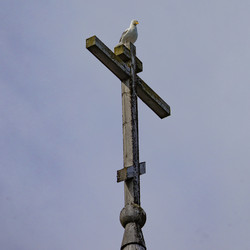 Similar image 21906816