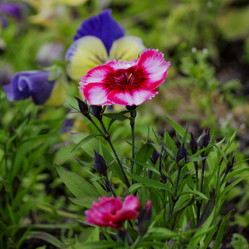 Similar image 21906819