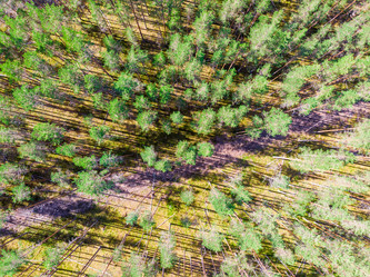 Similar image 21903352