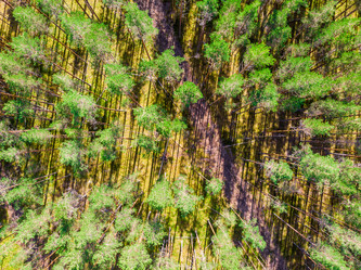 Similar image 21903354