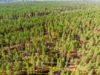 Similar image 21903355