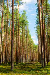 Similar image 21903548