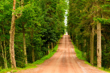 Similar image 21903549