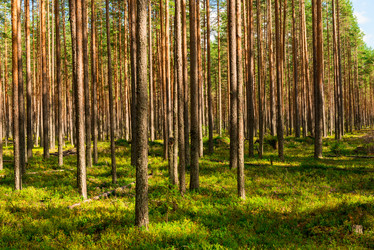 Similar image 21903563