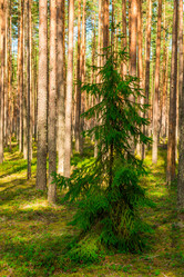 Similar image 21903565