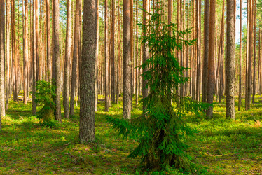 Similar image 21903566