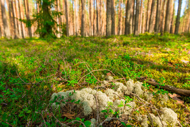 Similar image 21903571