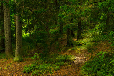 Similar image 21903580