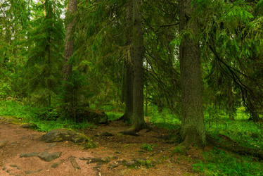 Similar image 21903624