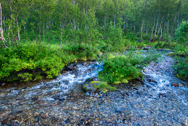 Similar image 21903728