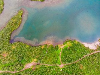 Similar image 21903754