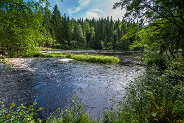 Similar image 21903779