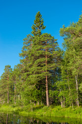 Similar image 21903652