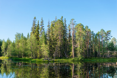 Similar image 21903655