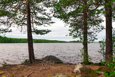 Similar image 21903930