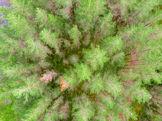 Similar image 21903934