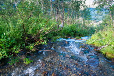 Similar image 21903939