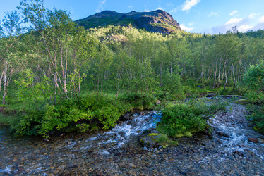 Similar image 21903940