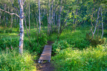 Similar image 21903942