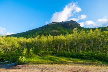 Similar image 21903945