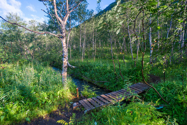 Similar image 21903946