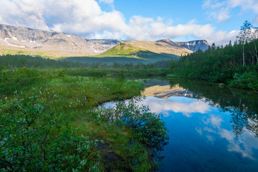 Similar image 21903953