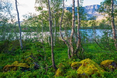 Similar image 21903970