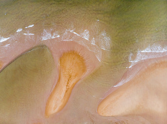 Similar image 21903989