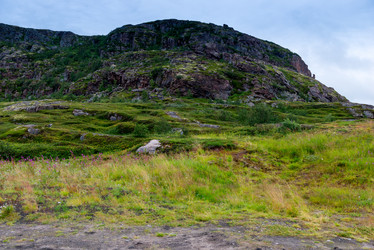 Similar image 21904003