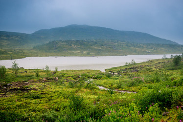 Similar image 21903795