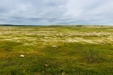 Similar image 21904042