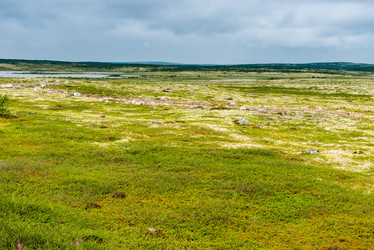 Similar image 21904044