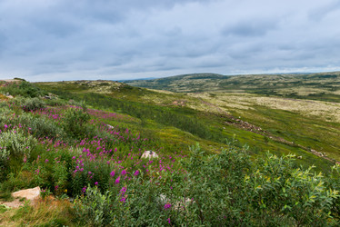 Similar image 21904050