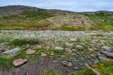 Similar image 21904055